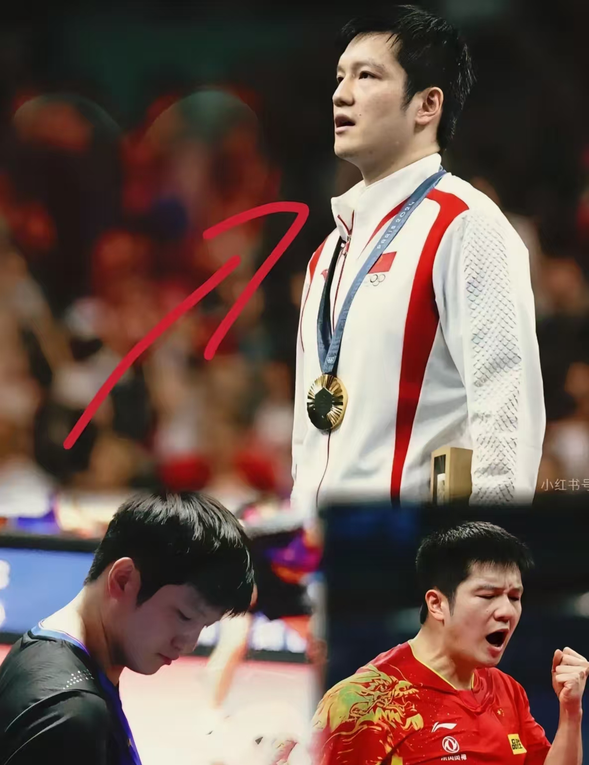 法国队完胜波兰队，樊振东统治全场