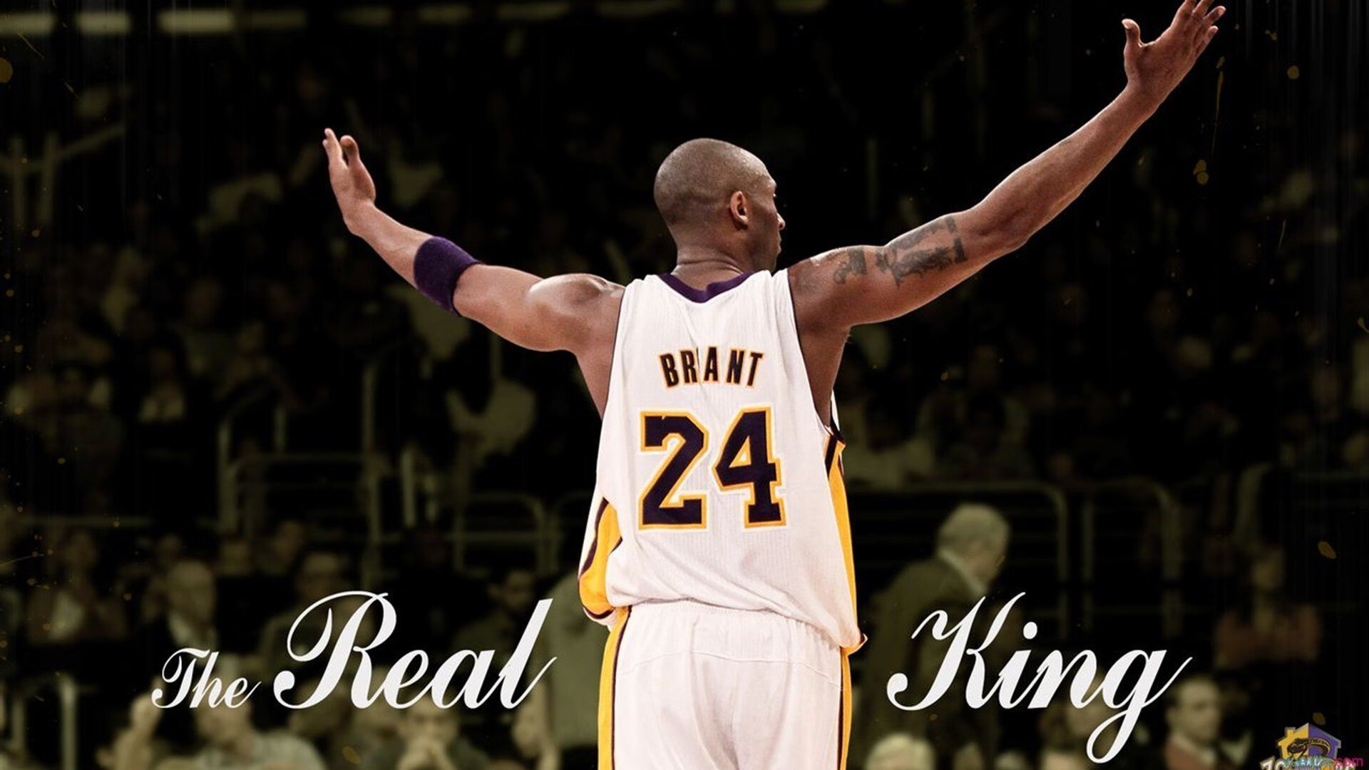 当黄黑军团遇上橙色风暴，劳塔罗在多特蒙德与荷兰对决中的高光时刻