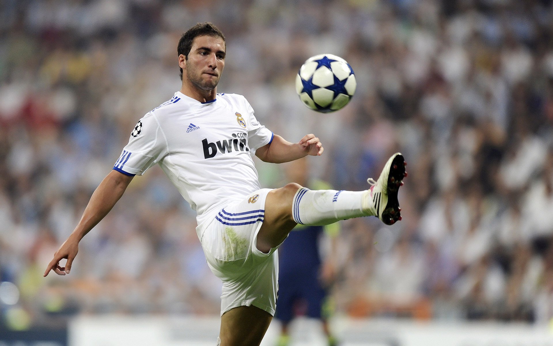 当碾压与惊艳同场，英格兰的团队铁壁与张本智和的孤星闪耀